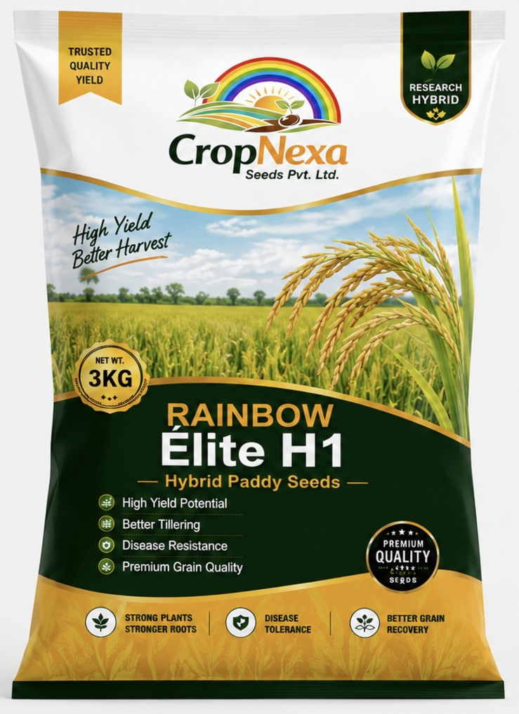 Rainbow Elite H1 hybrid paddy seed bag
